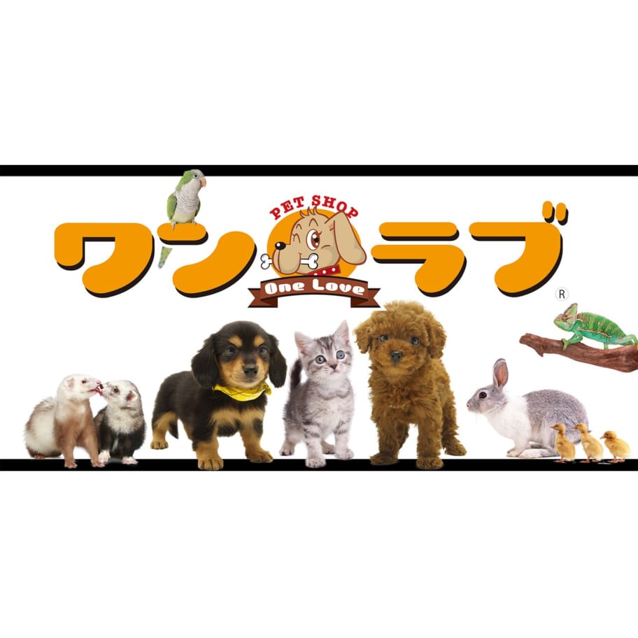 スライド画像2