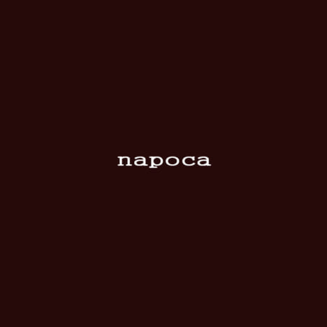 napoca ロゴ
